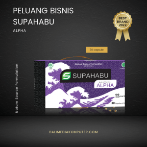 Peluang Bisnis Supahabu, Peluang Bisnis produk Supahabu