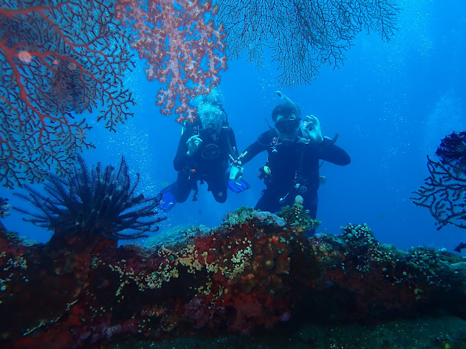 Scuba Diving in Sanur